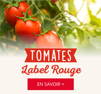 Tomate Label Rouge